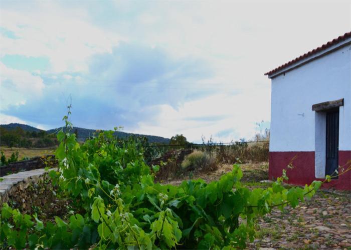 Casa Rural El Abuelo Alonso Ла-Кодосера Экстерьер фото